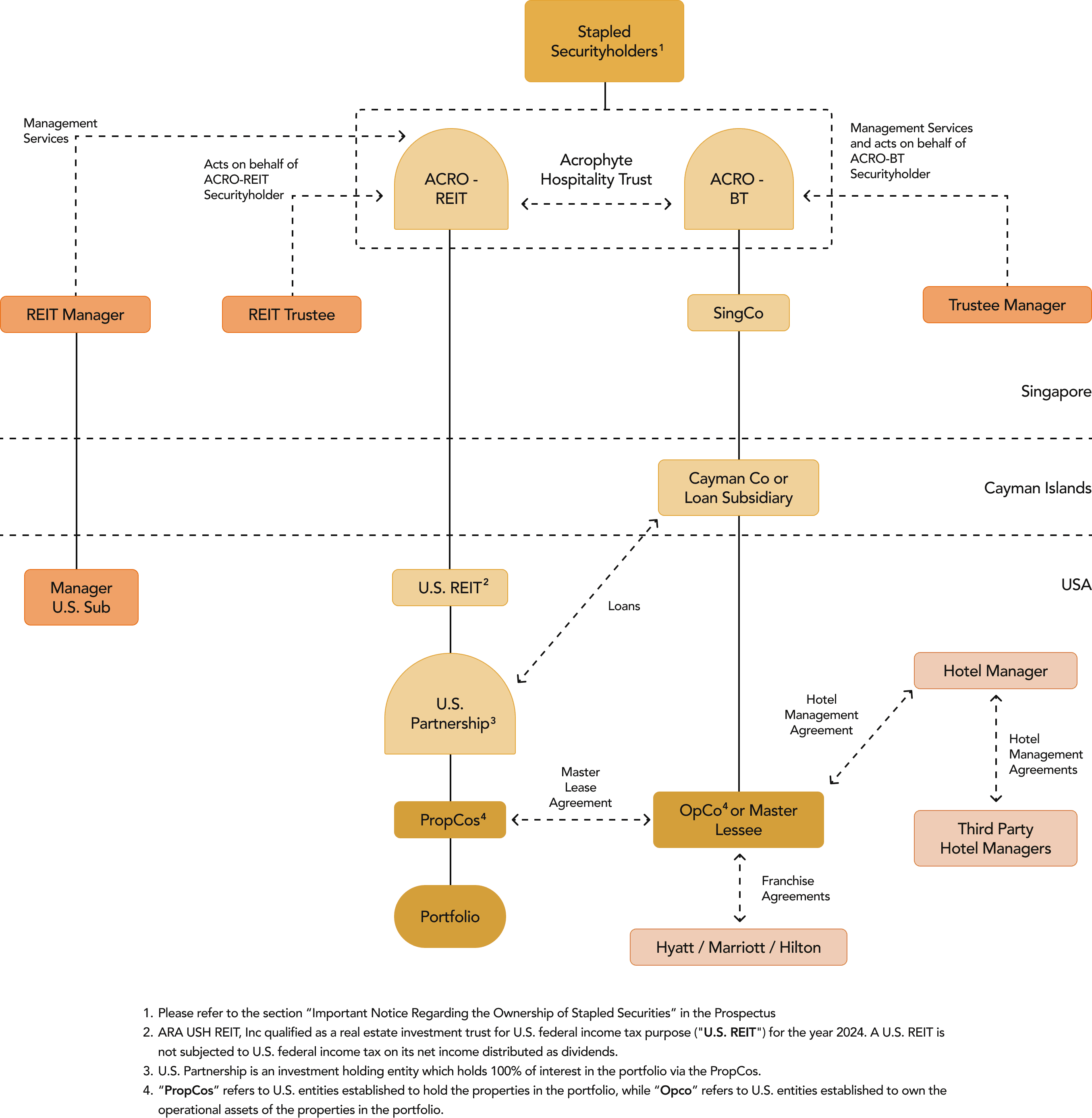 Graph of Acrophyte's Trust Structure