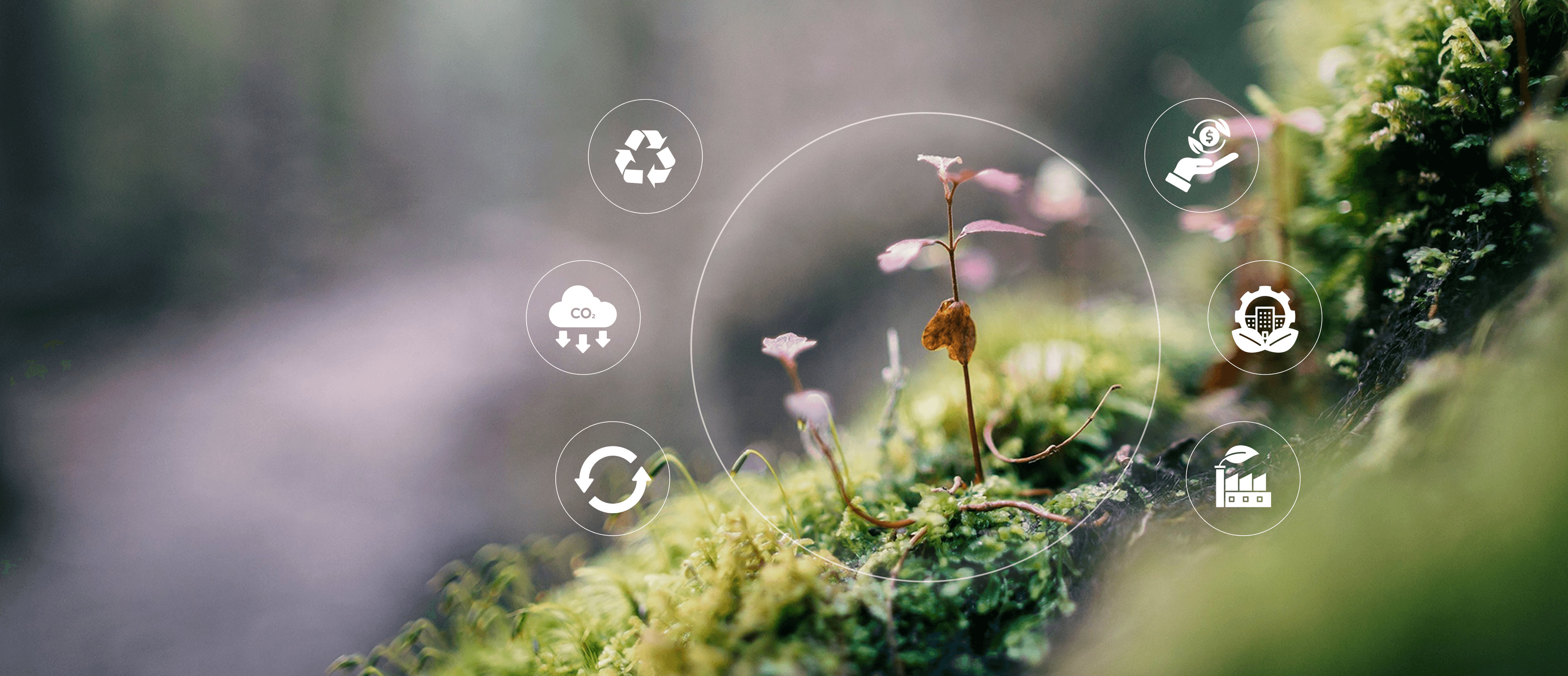 A small plant sprouting from moss-covered ground, surrounded by sustainability icons representing recycling, carbon reduction, eco-friendly industry, financial responsibility, and environmental stewardship.